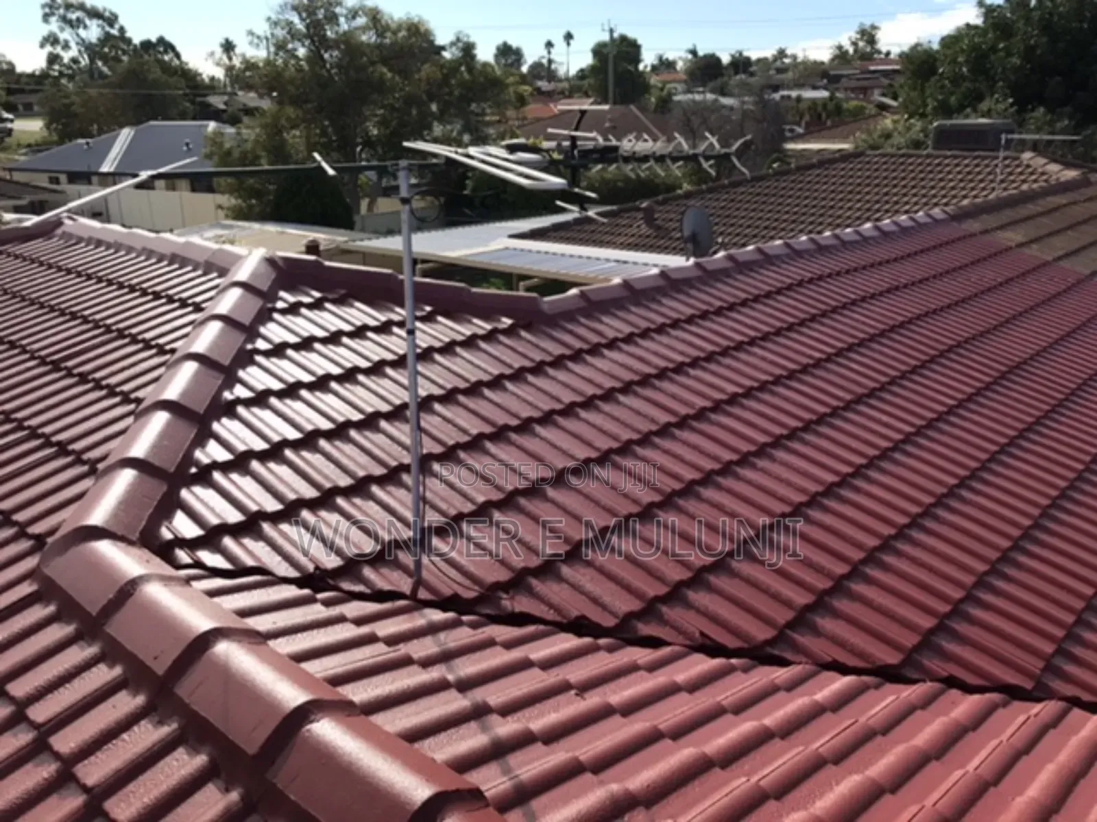 Roof Painting