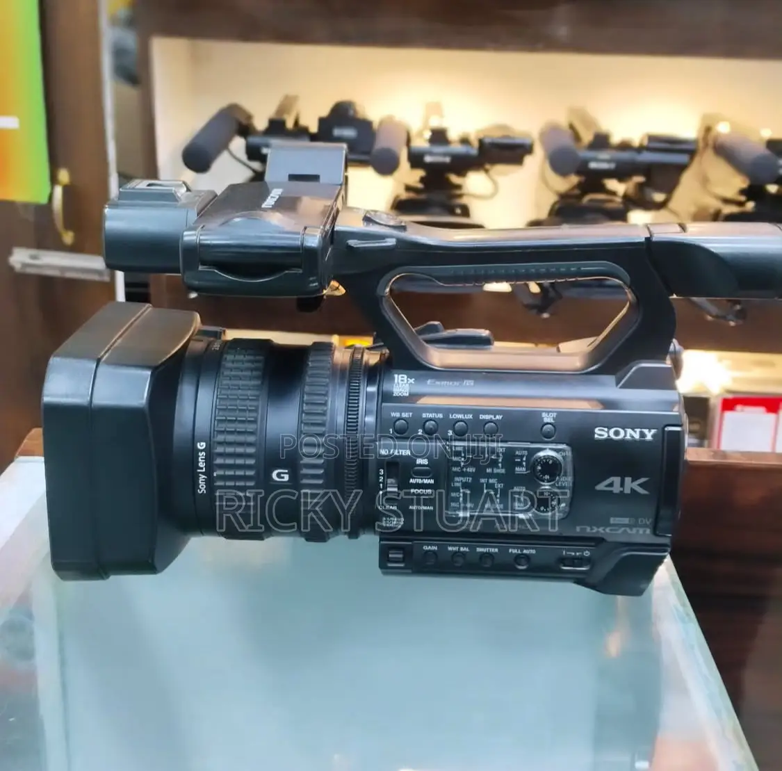 Sony HXR-Nx200 HDR Handheld Camcorder