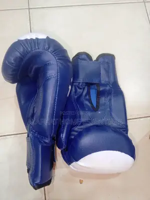 Top Ten Boxing Gloves