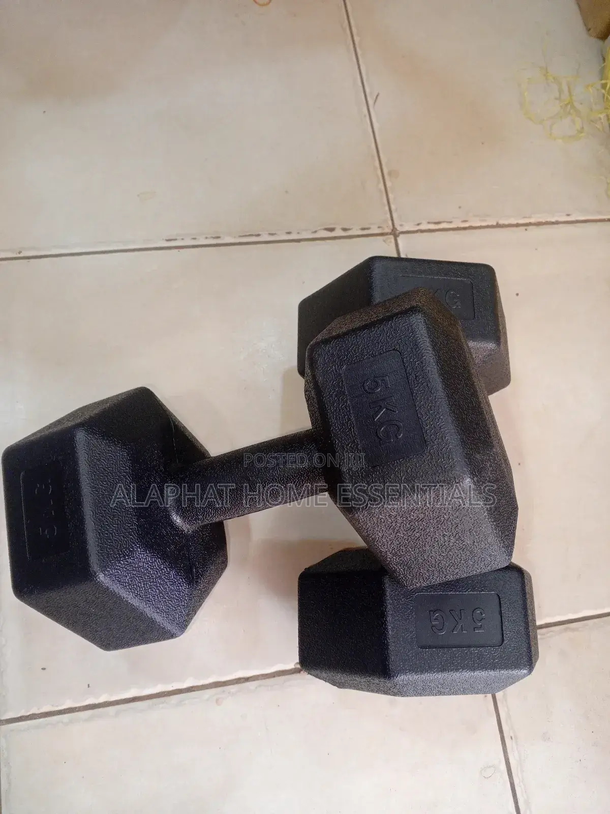 5kg Dumbbell With Plastic Cover