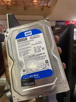 Wd Hard Disk 500gb for Desktop( Survillence)