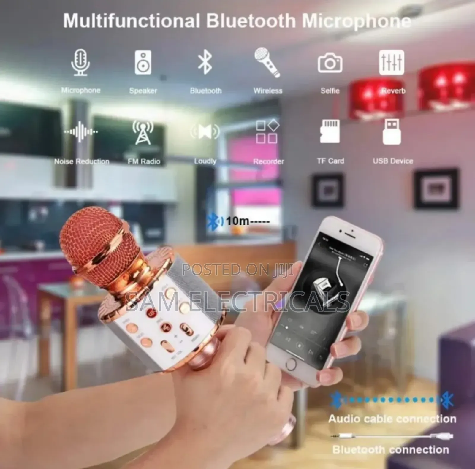 Multifunctional Kids Microphone