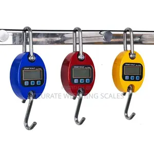 Photo - 300kg Hanging Clock Face Weighing Scales