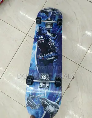 Adults Teen Skate Board