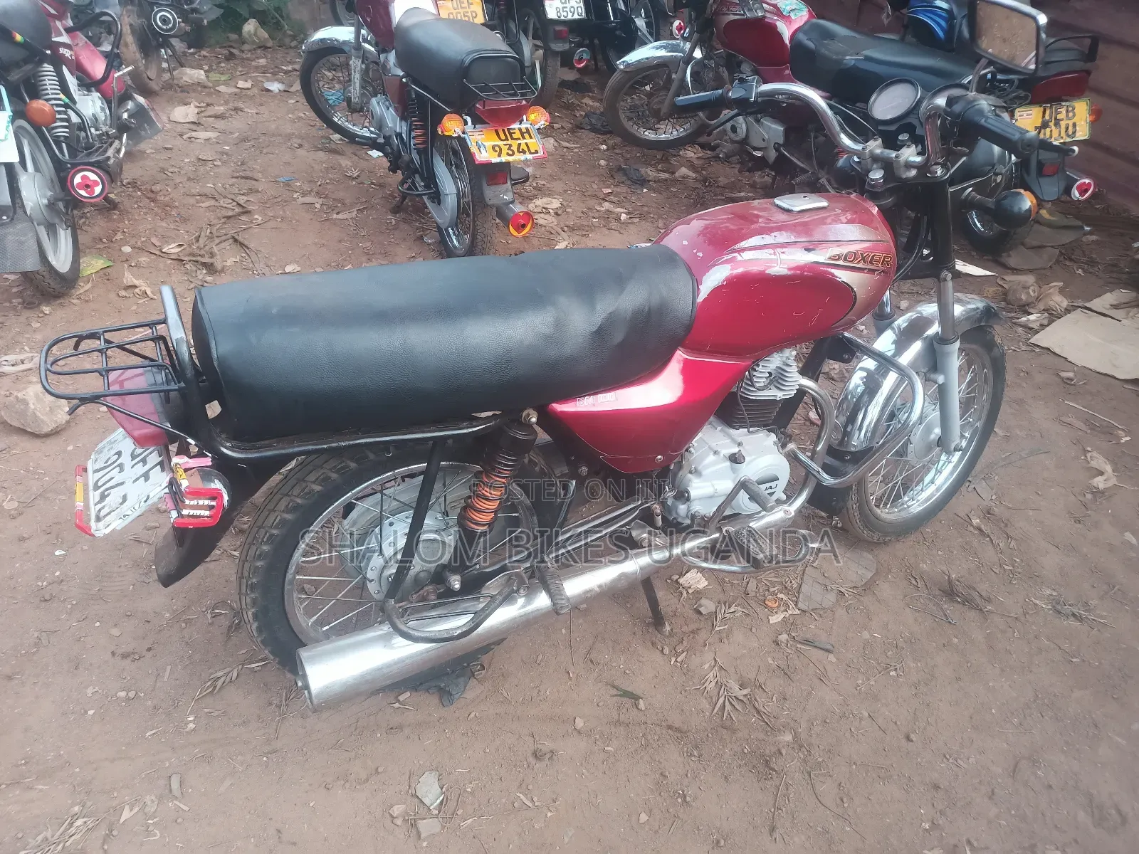 Bajaj Boxer 100 2023 Red
