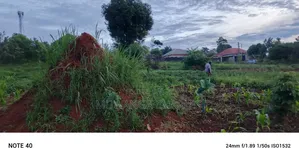 Plot for Sale in Kisaasi Kulambiro