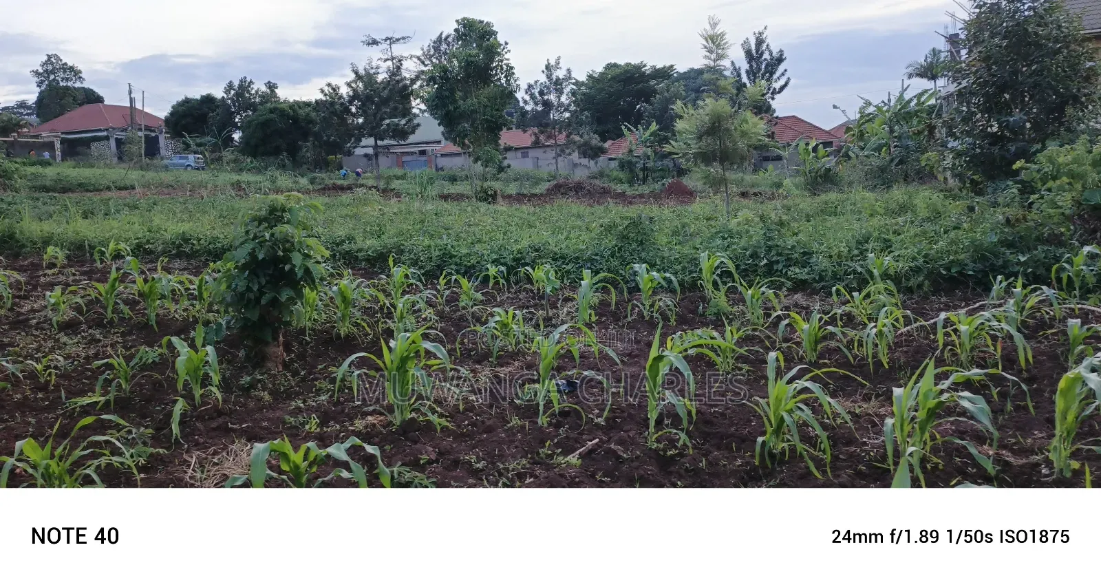 Plot for Sale in Kisaasi Kulambiro