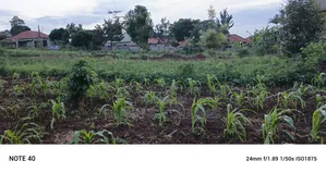 Plot for Sale in Kisaasi Kulambiro