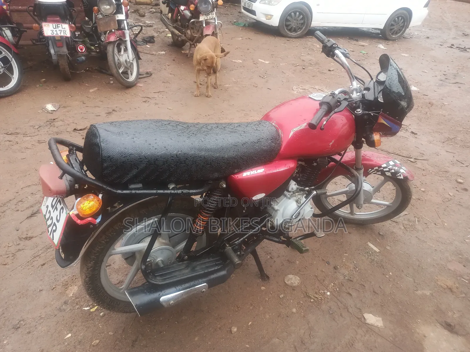 Bajaj CT 110X 2023 Red
