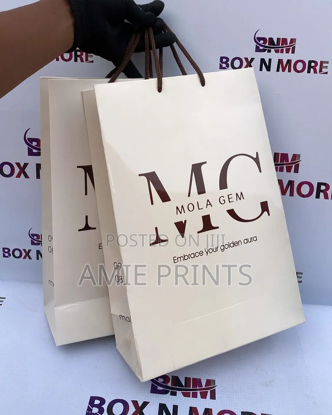 Premium Boutique/ Shopping Paper Bags