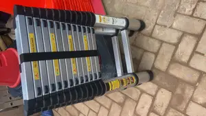 Photo - Aluminum Telescopic Ladders