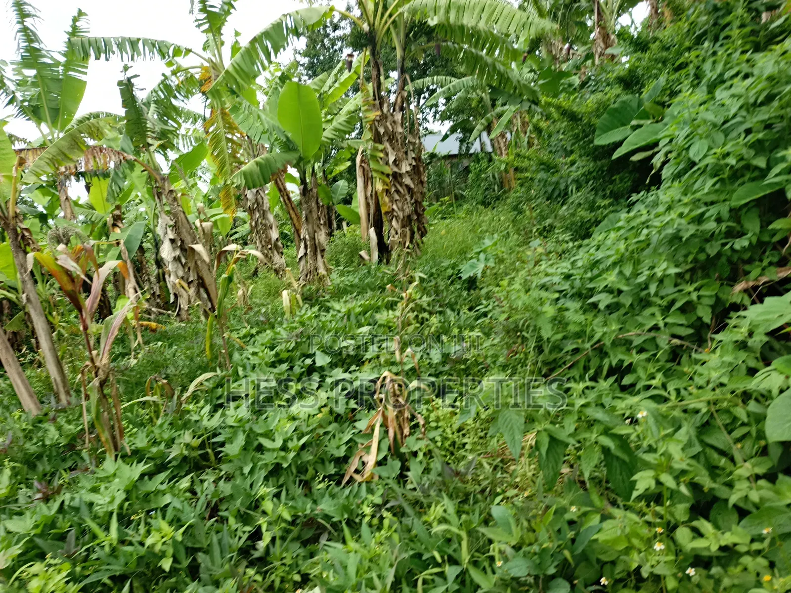 Residential Land on Sale