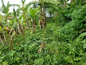 Residential Land on Sale