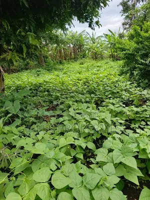 Residential Land on Sale