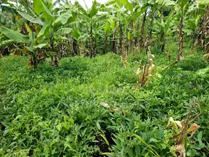 Residential Land on Sale