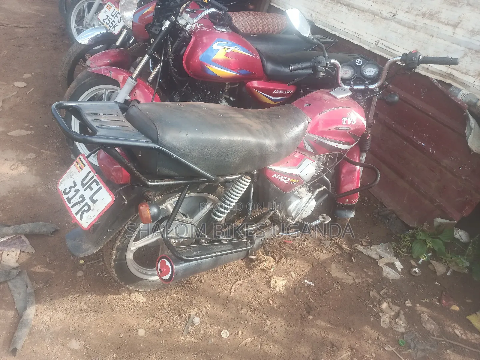 TVS HLX 125 2023 Red