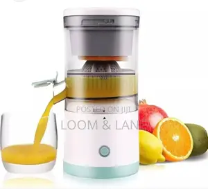 Electric Juicer Press Slow Fruits Squeezer