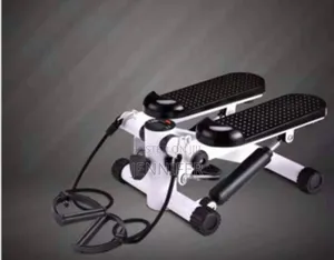 2 in 1 Fitness Swing Stepper Machine With Ropes