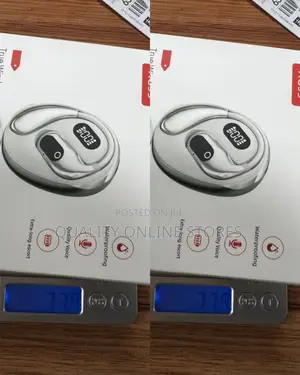 True Wireless Microphone