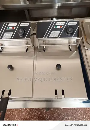 Electric Deep Fryer