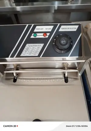 Electric Deep Fryer