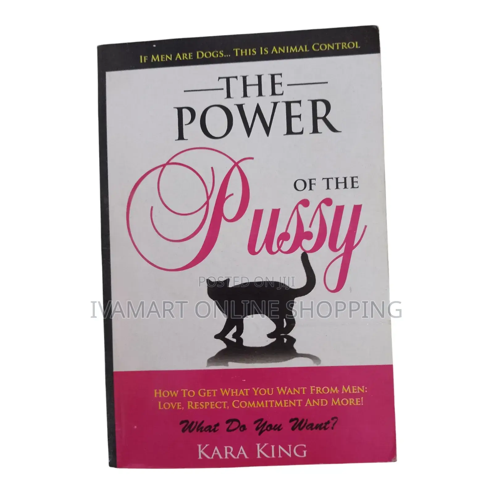 The Power of the Pussy Book - Kara King