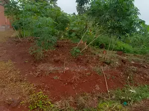 Photo - Owners of the Land