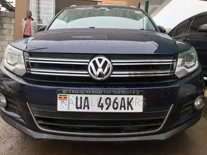 Volkswagen Tiguan 2017 Blue