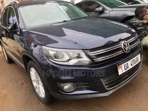 Volkswagen Tiguan 2017 Blue