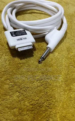 Aux 3.5mm To 30-pin Male Adapter