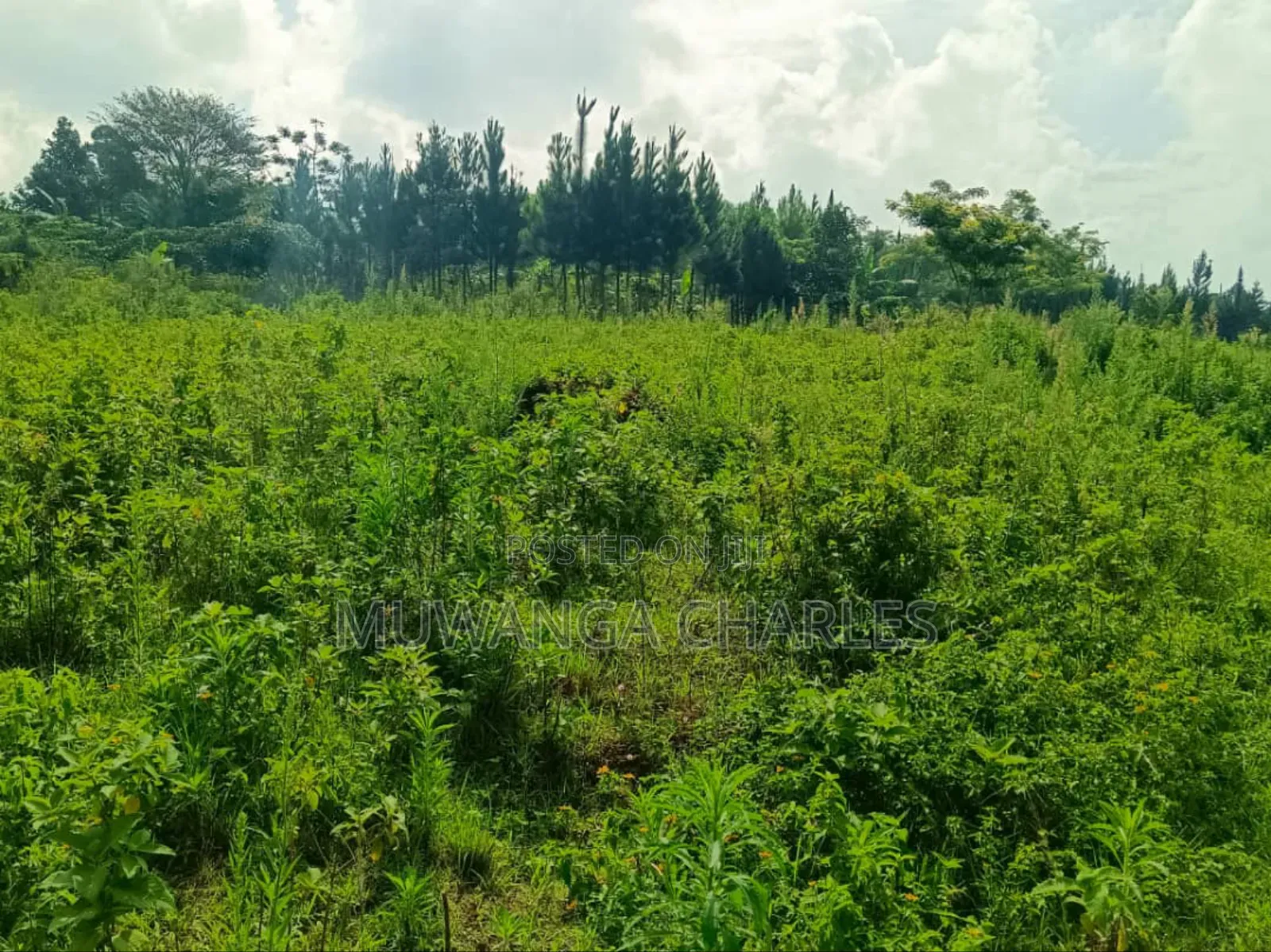 4acres for Sale in Mukono Katosi Road