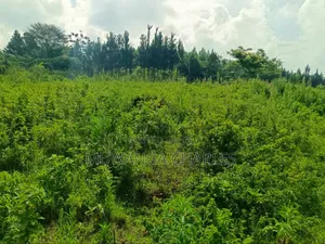 4acres for Sale in Mukono Katosi Road