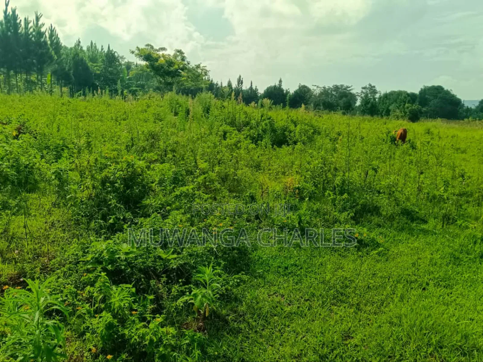 4acres for Sale in Mukono Katosi Road