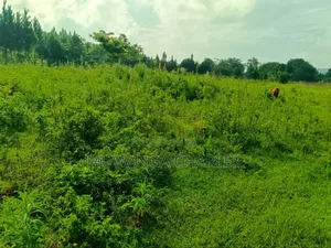 4acres for Sale in Mukono Katosi Road
