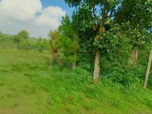 4acres for Sale in Mukono Katosi Road