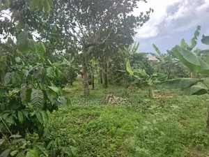 Land for Sale in Wabutungulu
