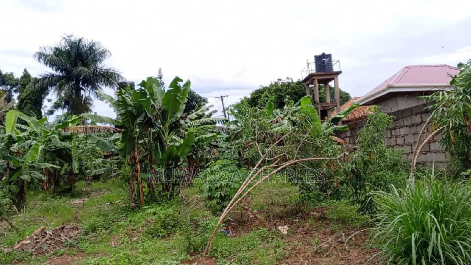 Land for Sale in Wabutungulu