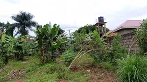 Land for Sale in Wabutungulu