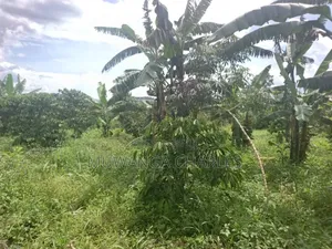 Land for Sale in Wabutungulu