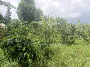 Land for Sale in Wabutungulu