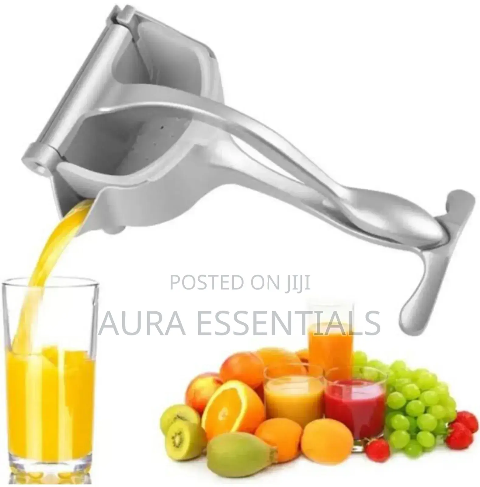 Large Size Manual Fruit Press