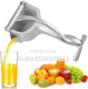 Large Size Manual Fruit Press