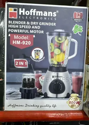 Hoffman 2 in 1 Glass Blender With Powerful Motor
