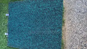 50x60 Zunzu Carpet