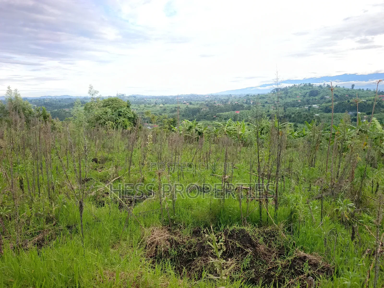 Residential Land on Sale Located in Kicuna-Rwengaju