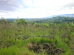 Residential Land on Sale Located in Kicuna-Rwengaju