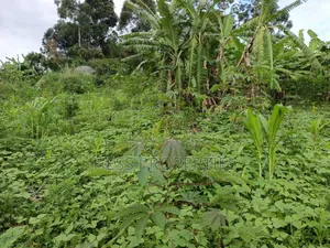 Residential Land on Sale Located in Kicuna-Rwengaju