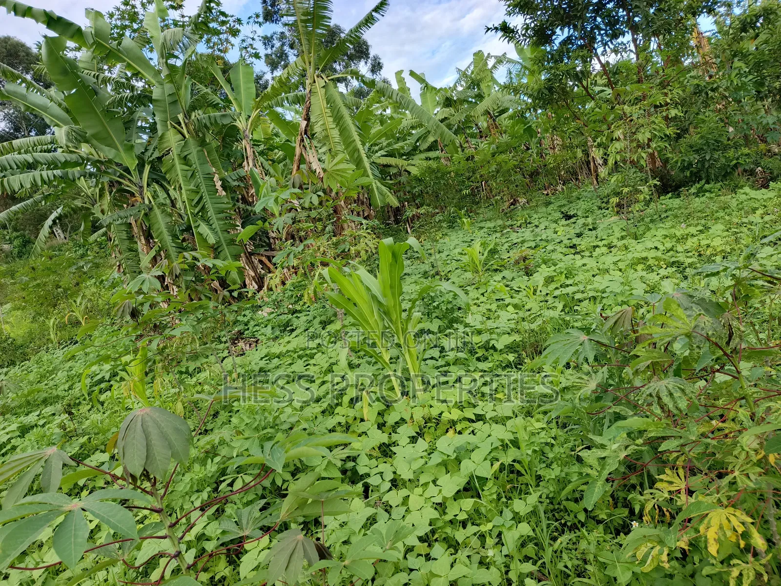 Residential Land on Sale Located in Kicuna-Rwengaju