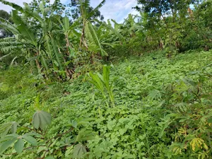 Residential Land on Sale Located in Kicuna-Rwengaju