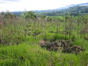 Residential Land on Sale Located in Kicuna-Rwengaju